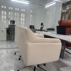 luxury chair 5031